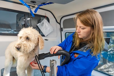 HFC-11-15-25-Pet-Care