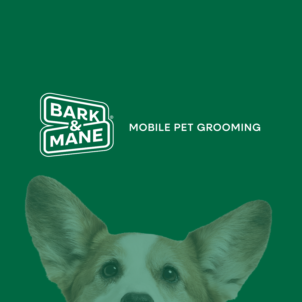 hfc_family_brands-BAM